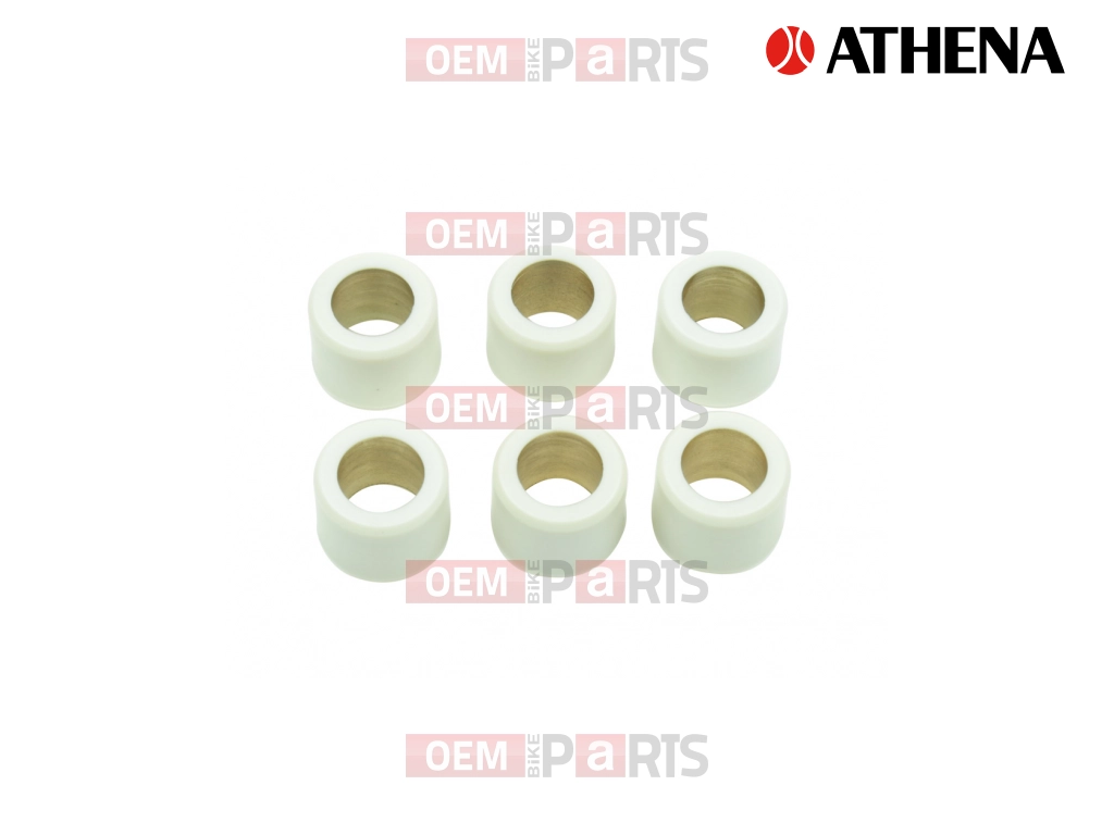 Variator Roll (16x13 - 9g)