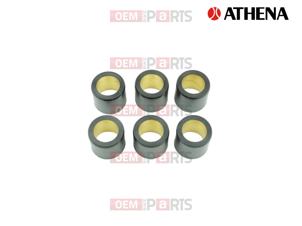 Variator Roll (25x22.2 - 24g)