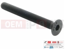 PIAGGIO X9 500 Evolution ABS 1B006376 - Vis
