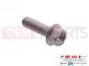 MOTOGUZZI Eldorado 1400 ABS 10 pc - AP8152273 - Vis