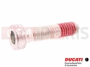 DUCATI 2014 HYPERSTRADA 5 pc - 77310021A - Vis