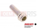 DUCATI 2014 HYPERSTRADA 2 pc - 77156678B - Vis