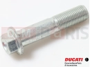 DUCATI 2015 Hyperstrada 77210042B - Vis