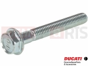 DUCATI 2016 Hyperstrada 939 77211201A - Vis