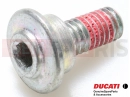 DUCATI 2013 HYPERSTRADA 77211261A - Vis