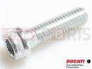 DUCATI 2013 HYPERSTRADA 2 pc - 77156688B - Vis