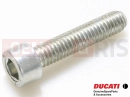 DUCATI 2014 HYPERSTRADA 77150708B - Vis