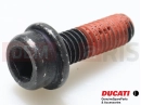 DUCATI 2020 Diavel 77140663CD - Vis