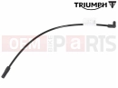 Triumph 2015 THUNDERBIRD COMMANDER T1243219 - Pipe, Map Sensor