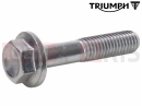 Triumph 2004 SPEEDMASTER CARBS T3200601 - Vis