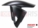 DUCATI 2022 Panigale V2 56416632AK - Front mudguard