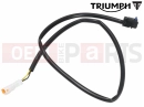 Triumph 2020 Thruxton RS T2024946 - Microswitch