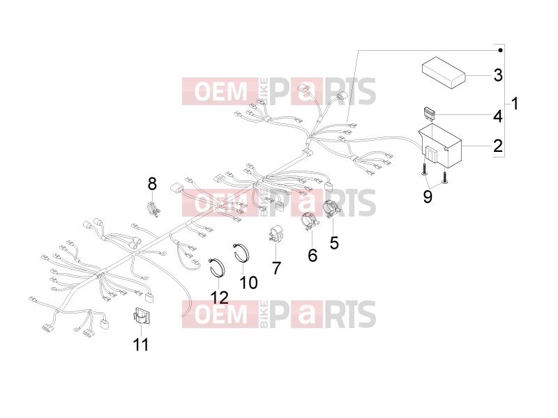 gilera 2017 Runner 50 SP Electrical system » Main cable harness
