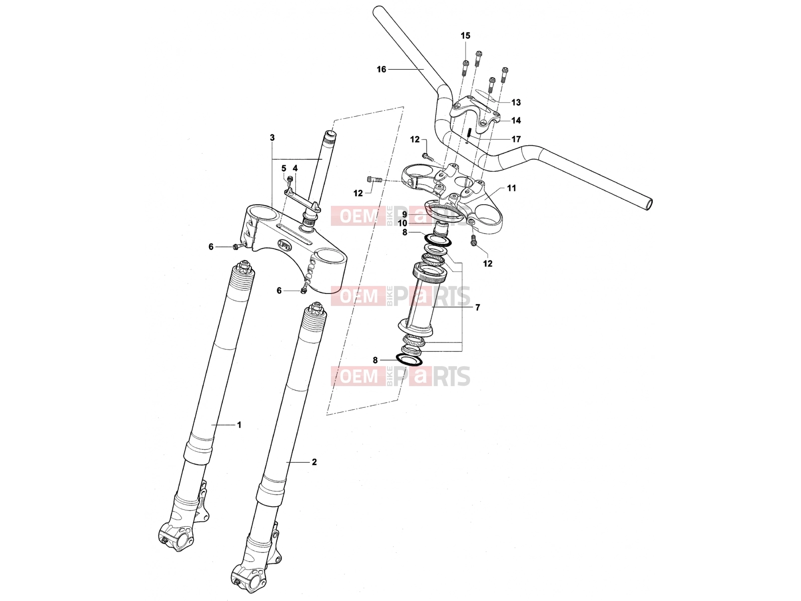 MV Agusta Brutale 910 S Front Suspension Assembly
