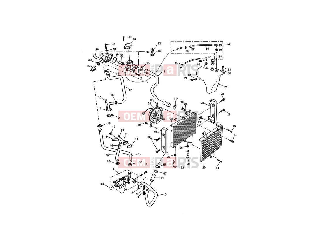 Triumph 2002 THUNDERBIRD SPORT Cooling System