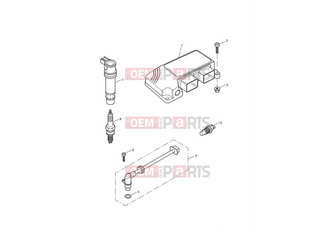 Triumph 2002 SPEED FOUR Engine Management System