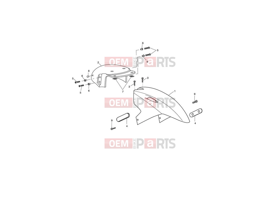 Triumph 2009 SPRINT ST 208167 > Front Mudguard