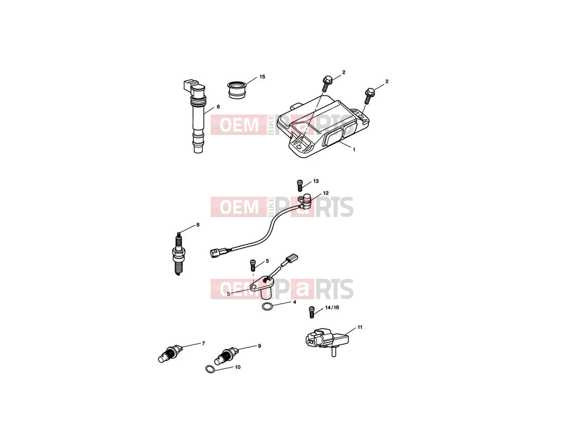 Triumph 2011 SPRINT GT Engine Management System