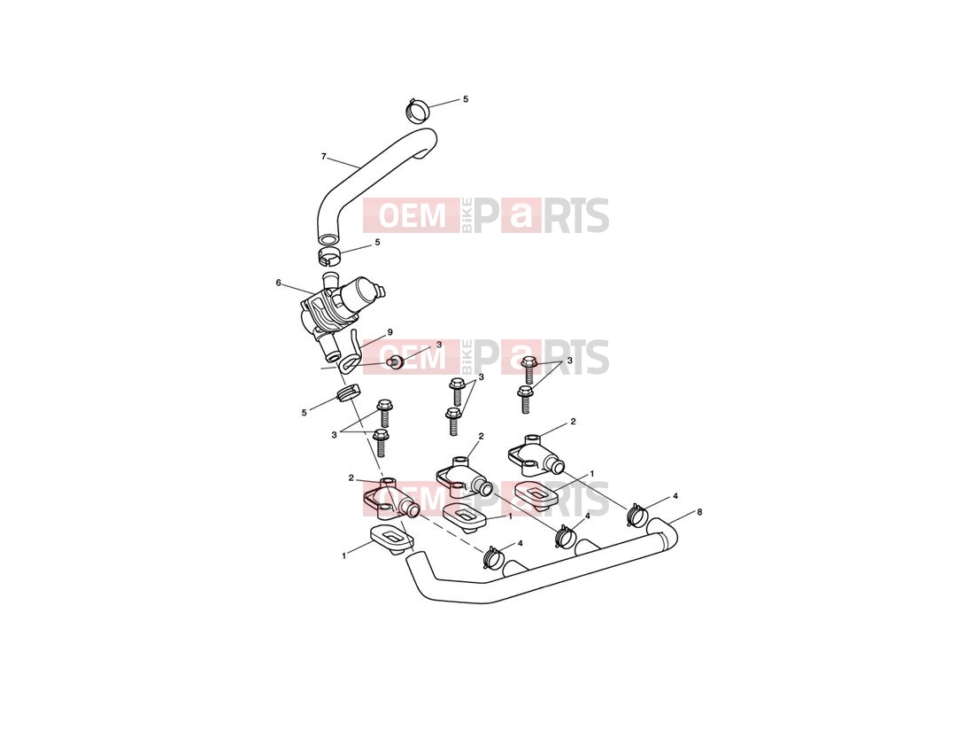 Triumph 2012 SPRINT GT Emissions Control