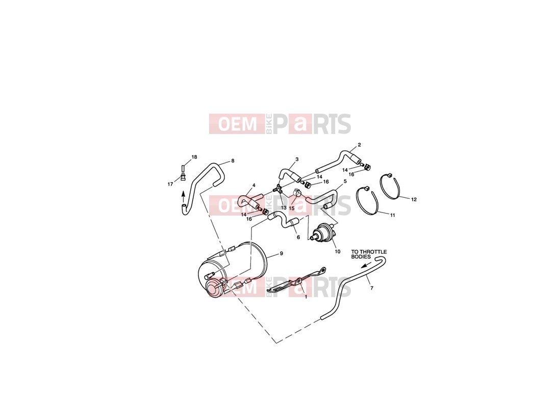 Triumph 2012 SPRINT GT Evaporative Loss Control System