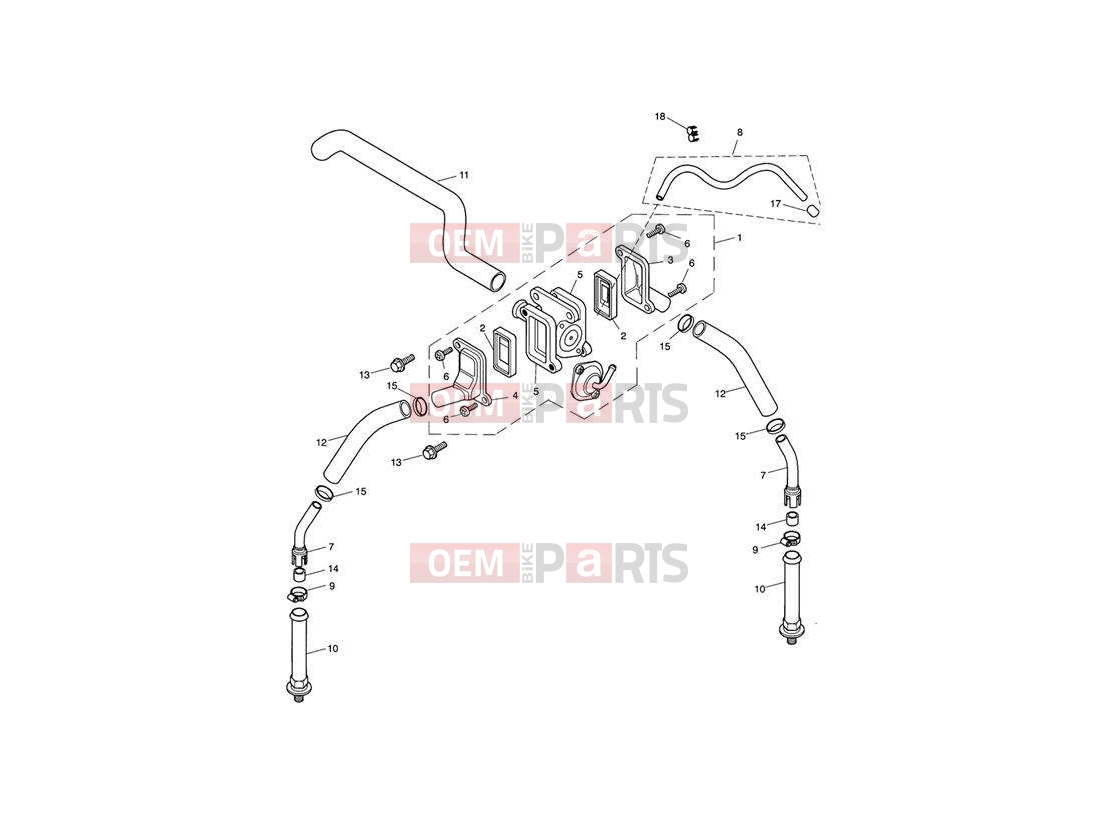 Triumph 2006 SPEEDMASTER CARBS Emissions Control