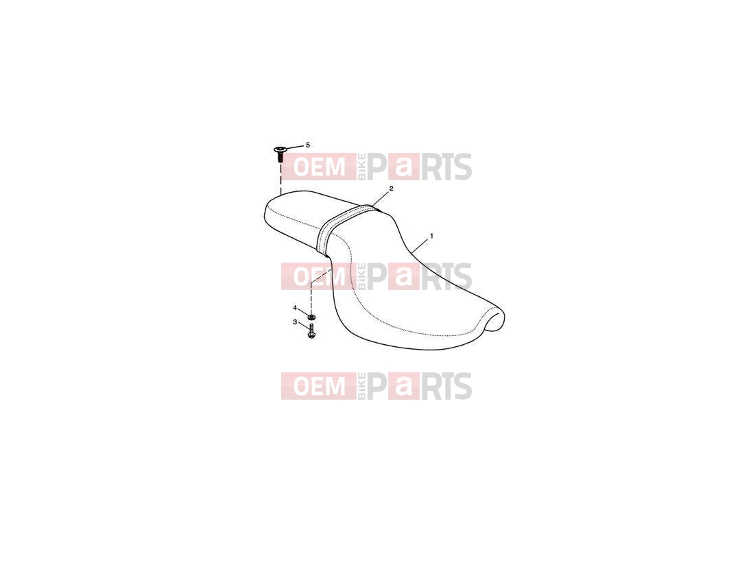 Triumph 2011 SPEEDMASTER EFI Seat