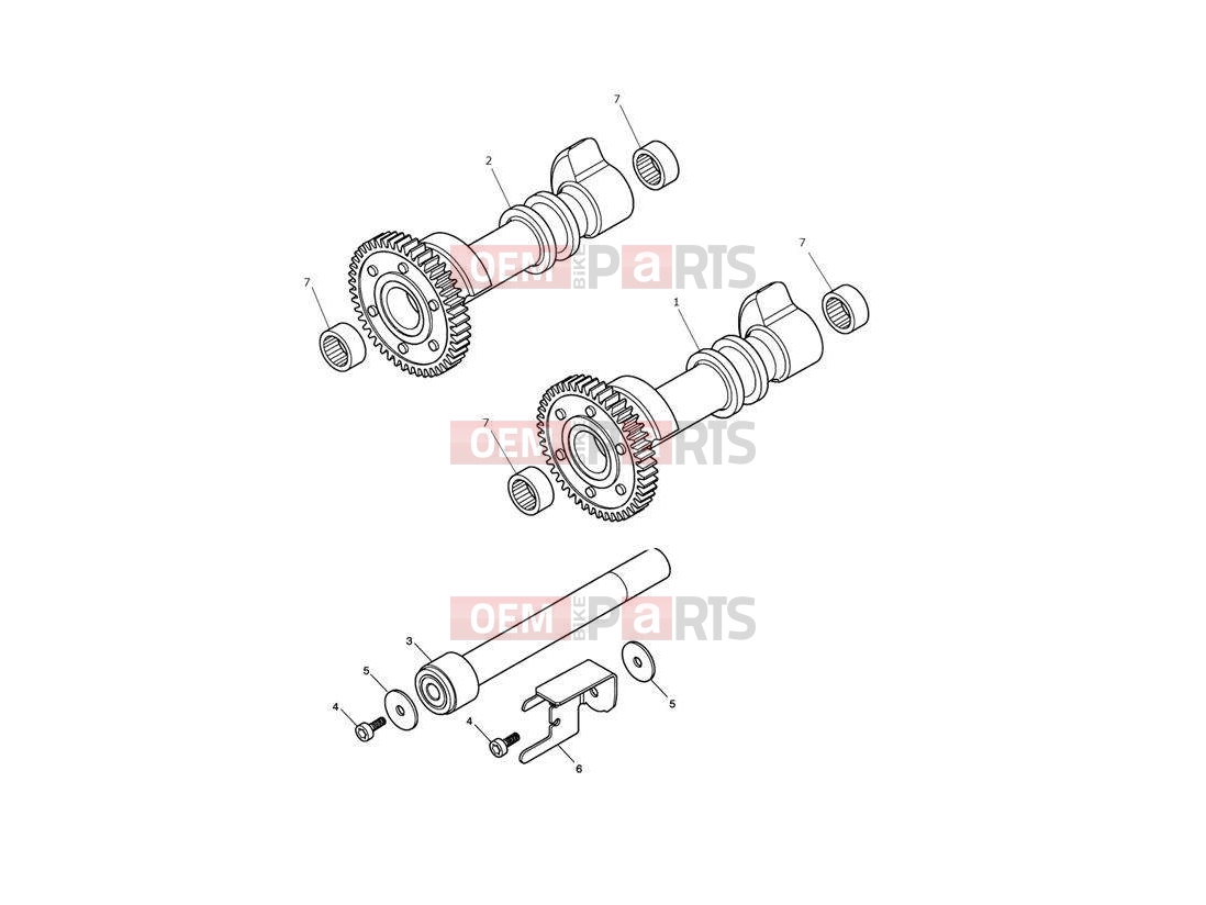 Triumph 2011 SPEEDMASTER EFI Balancer