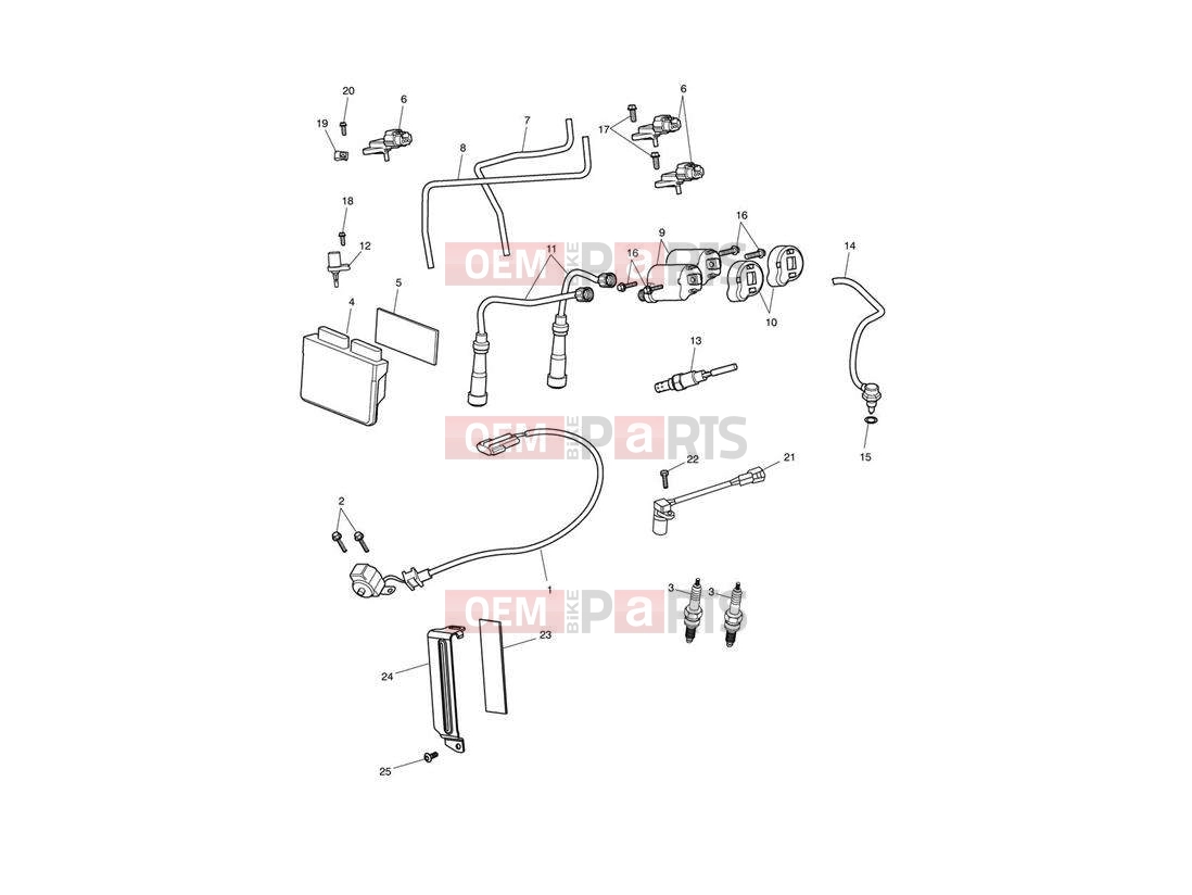 Triumph 2012 SPEEDMASTER EFI Engine Management System