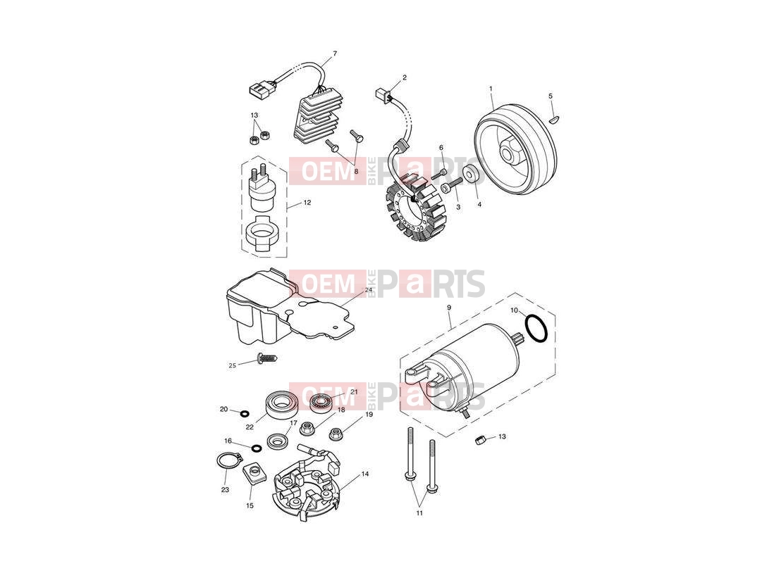 Triumph 2013 SPEEDMASTER EFI Starter & Alternator