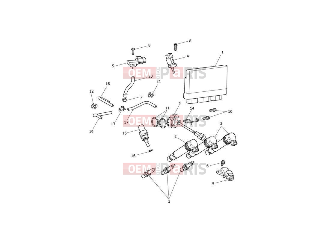 Triumph 2020 TIGER 900 Engine Management System
