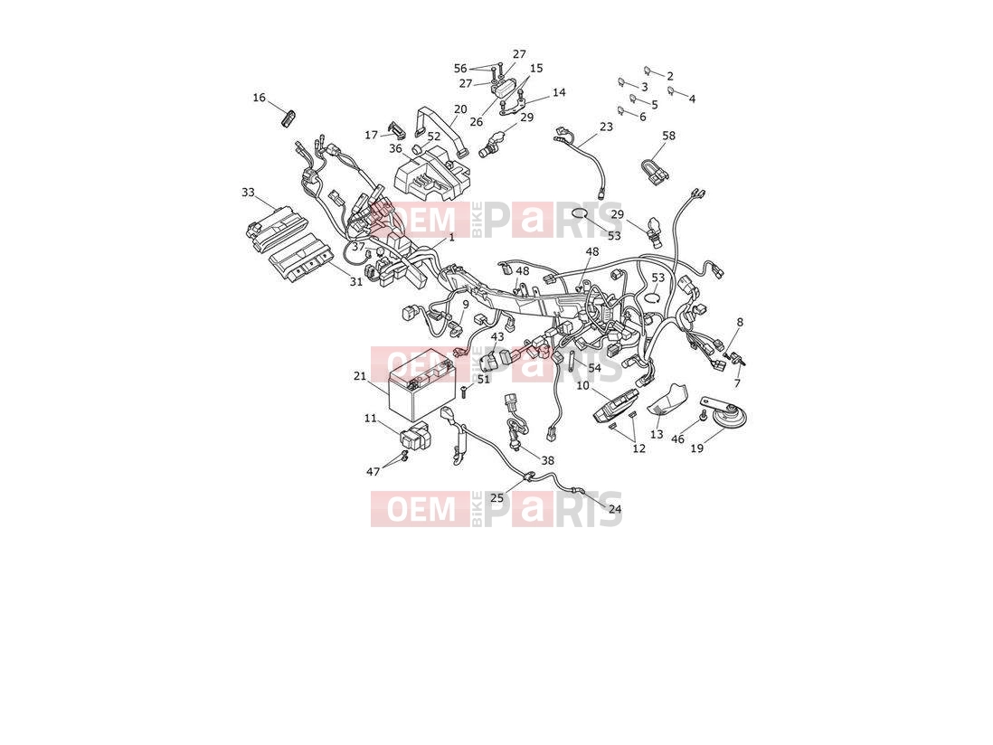 Triumph 2020 TIGER 900 Electrical System
