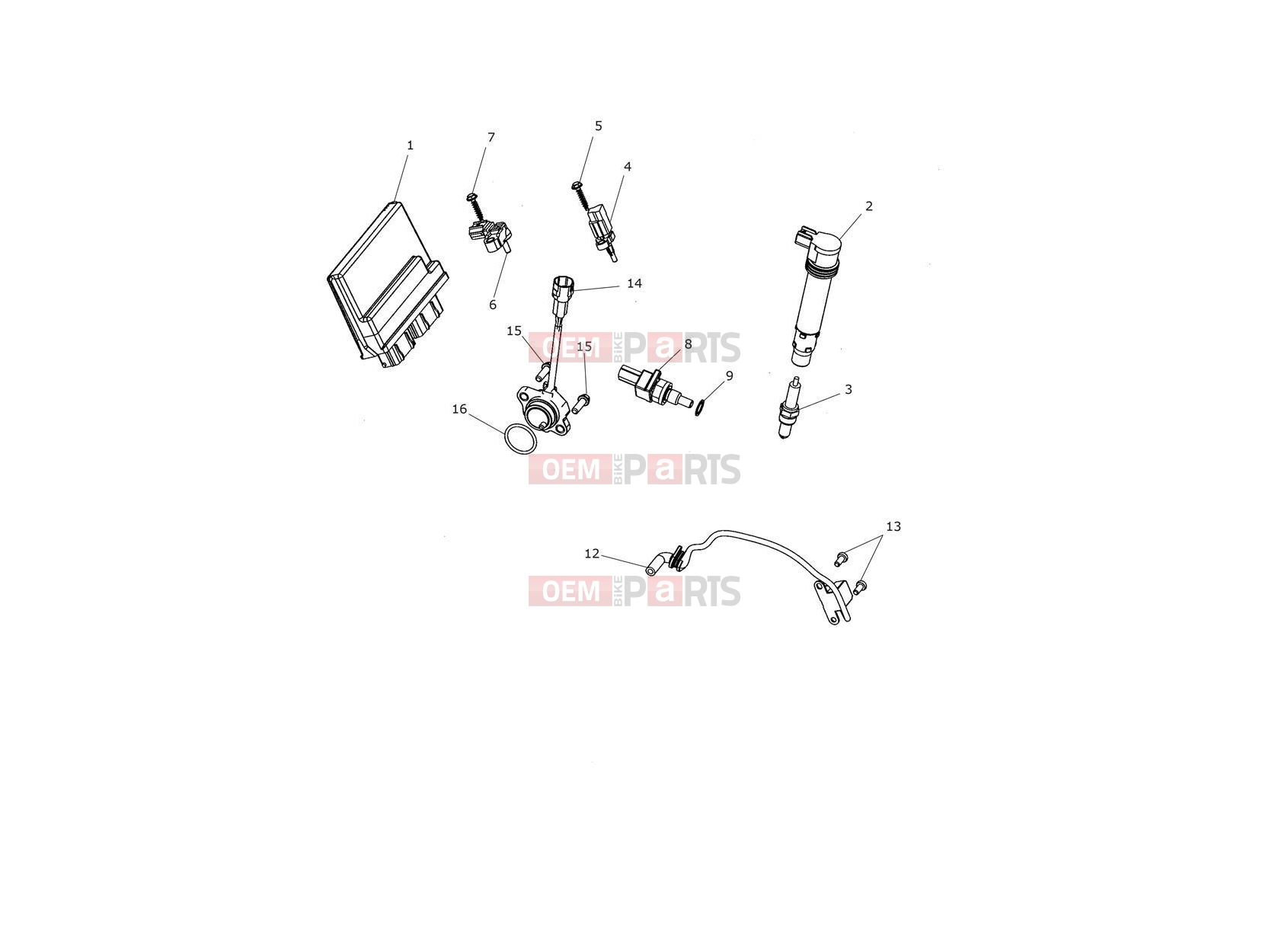 Triumph 2018 TIGER 1200 XRT Engine Management System