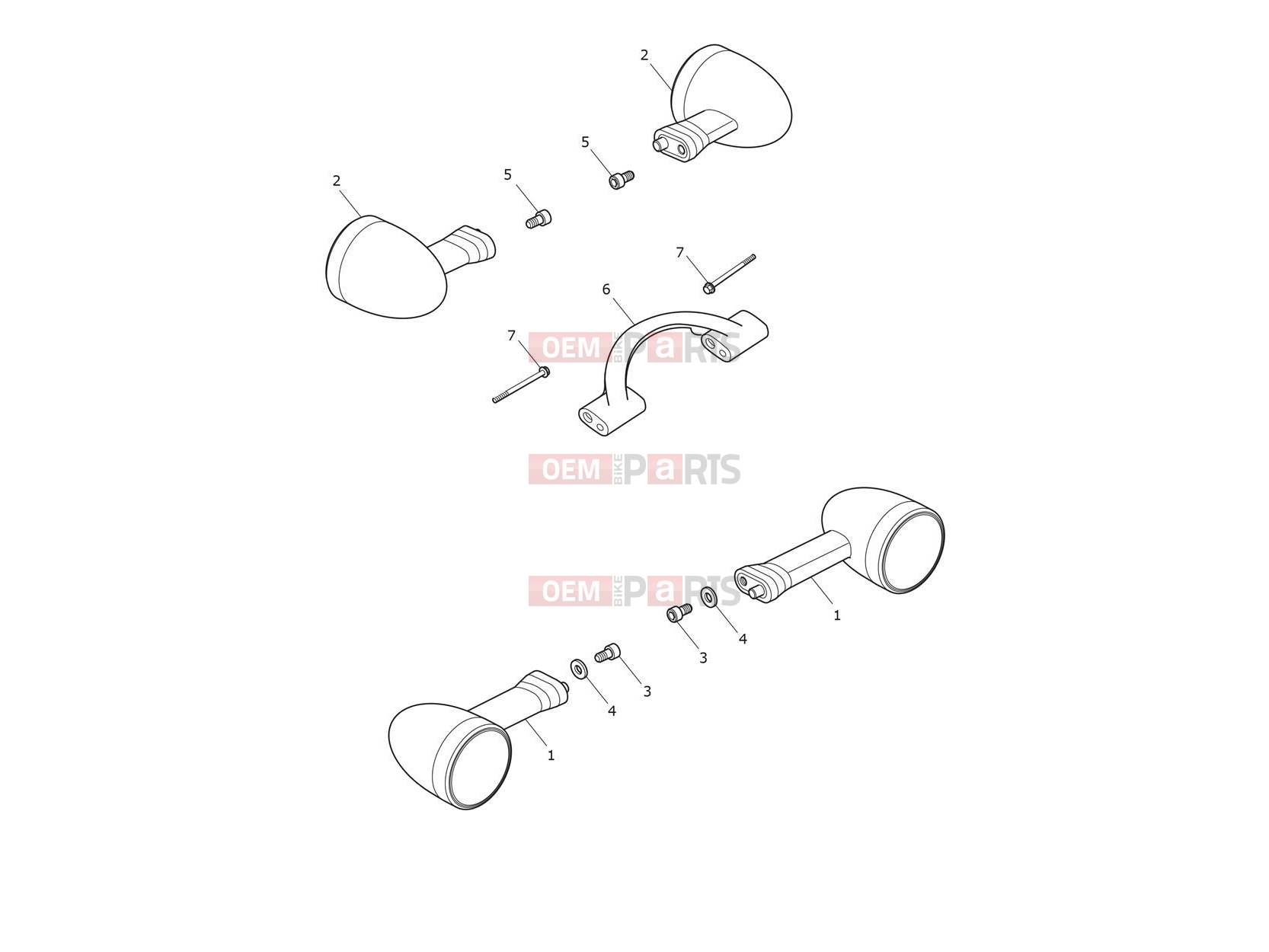 Triumph 2019 SPEED TWIN Indicators - US & CA Only