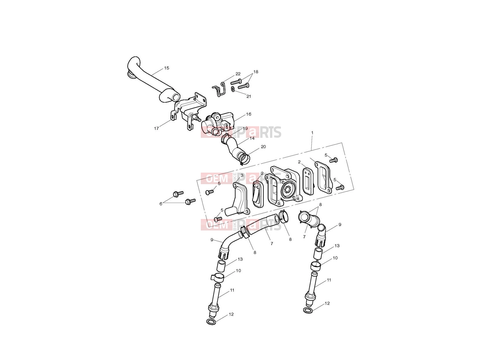 Triumph 2011 SCRAMBLER EFI Emissions Control
