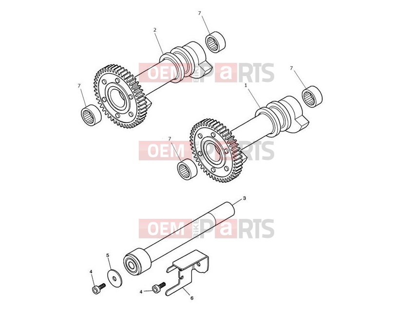 Triumph 2013 SCRAMBLER EFI Balancer