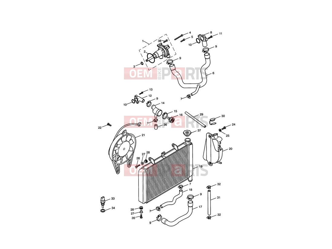 Triumph 2003 TT600 Cooling System