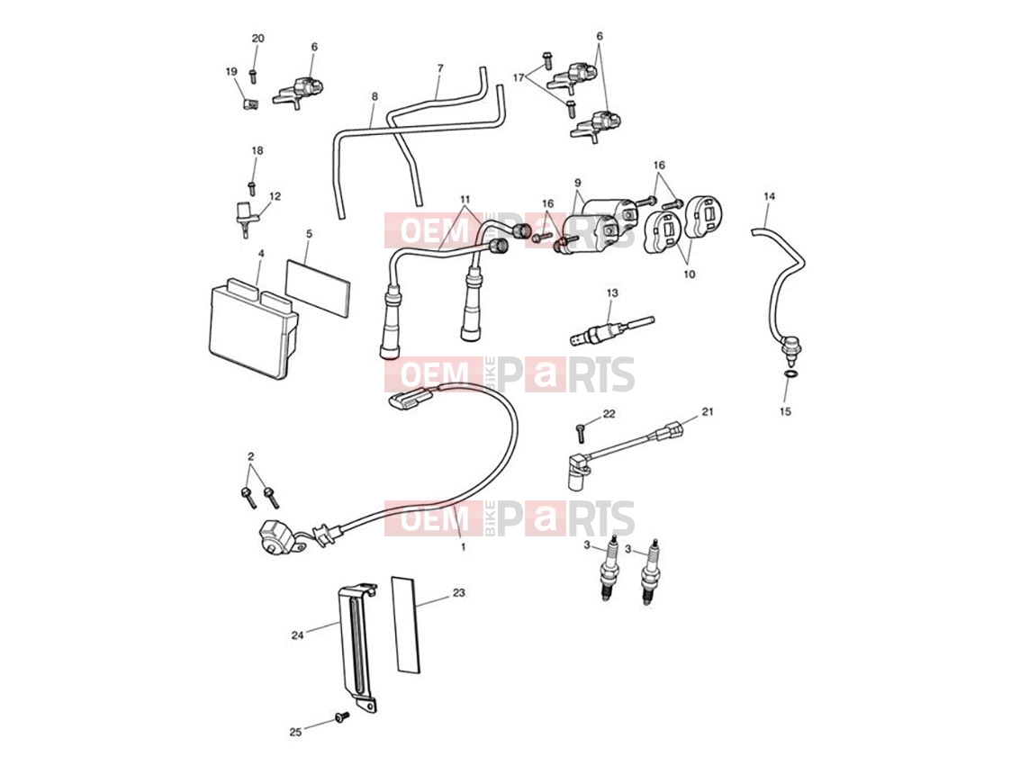 Triumph 2013 AMERICA EFI Engine Management System