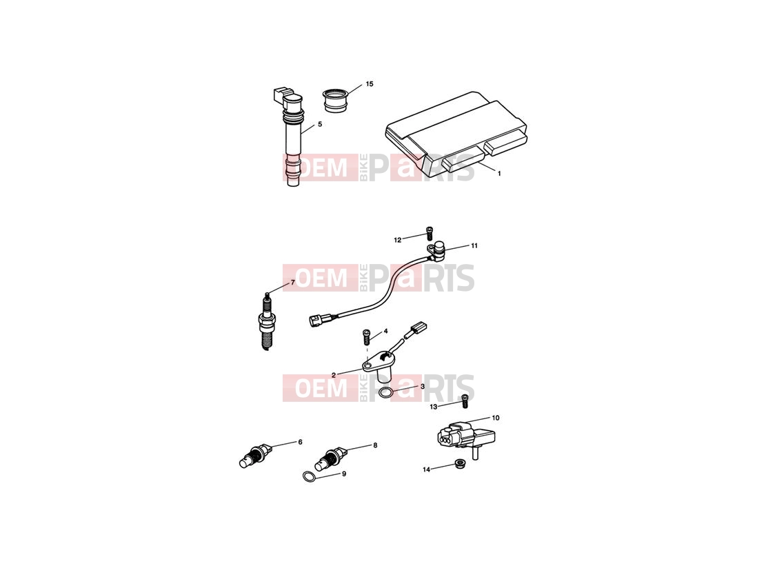 Triumph 2010 Tiger 1050 Engine Management System