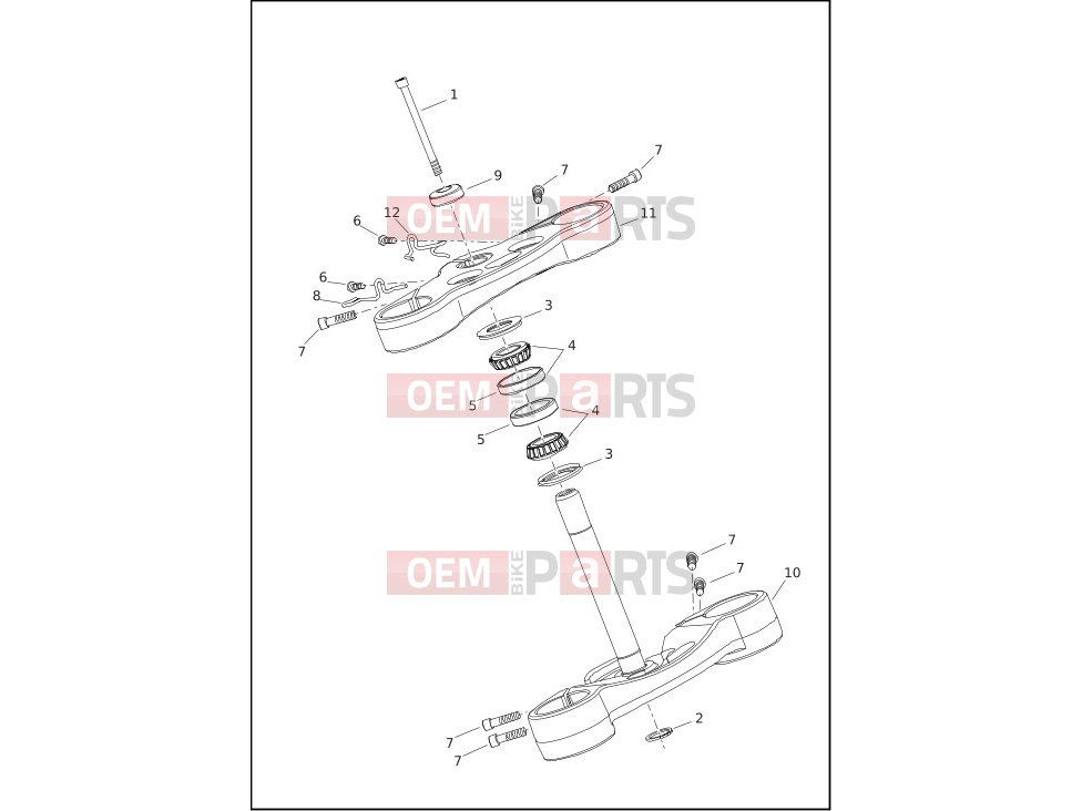 Harley-Davidson 2020 SOFTAIL SOFTAIL FXDR 114  - FXDRS FORK BRACKETS, FRONT - FLSB