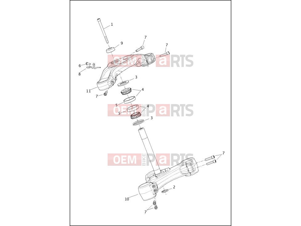 Harley-Davidson 2020 SOFTAIL SOFTAIL FXDR 114  - FXDRS FORK BRACKETS, FRONT - FXBRS