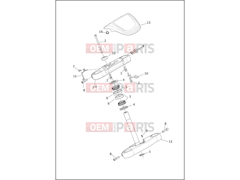 Harley-Davidson 2020 SOFTAIL SOFTAIL FXDR 114  - FXDRS FORK BRACKETS, FRONT - FXLR