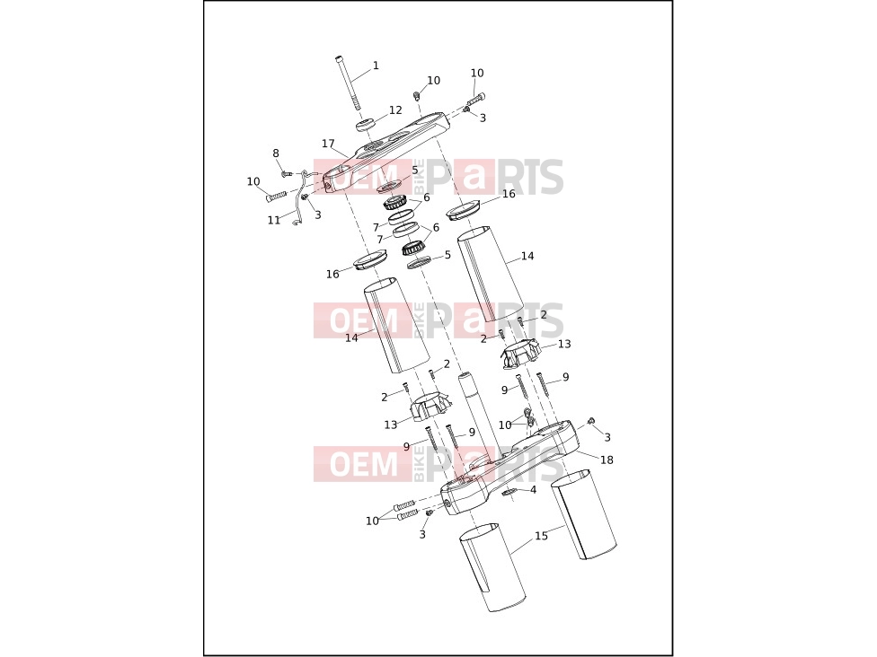 Harley-Davidson 2019 SOFTAIL SOFTAIL BREAKOUT  - FXBR FORK BRACKETS, FRONT - FLSL