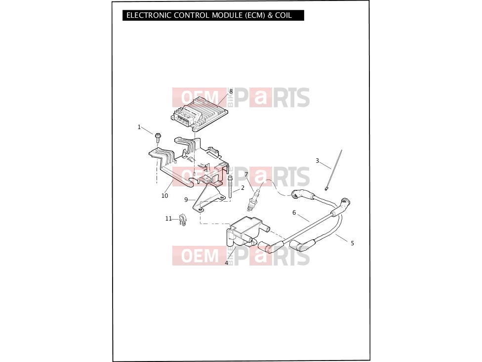 Harley-Davidson 2012 TOURING ROAD GLIDE CUSTOM  - FLTRX ELECTRONIC CONTROL MODULE (ECM) & COIL