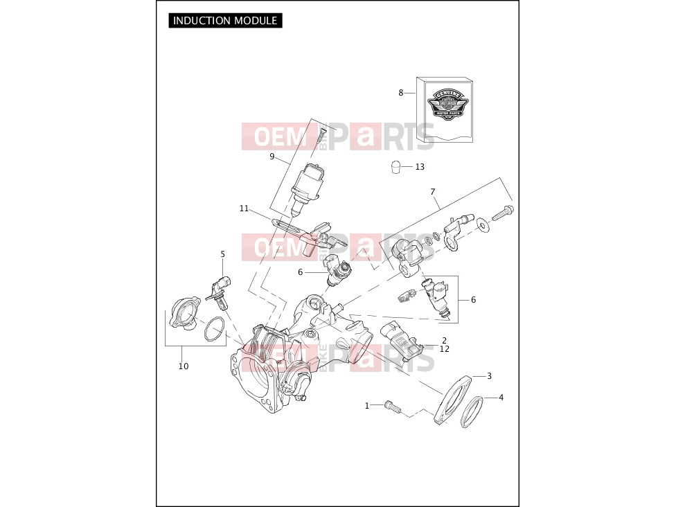 Harley-Davidson 2011 SOFTAIL CROSS BONES  - FLSTSB INDUCTION MODULE, FUEL
