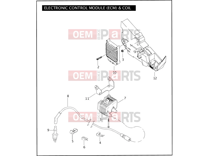 Harley-Davidson 2007 TOURING ROAD GLIDE  - FLTR ELECTRONIC CONTROL MODULE (ECM) & COIL