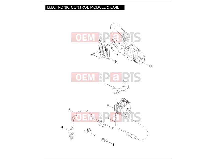 Harley-Davidson 2005 CVO/CUSTOM CVO ELECTRA GLIDE  - FLHTCSE2 ELECTRONIC CONTROL MODULE & COIL