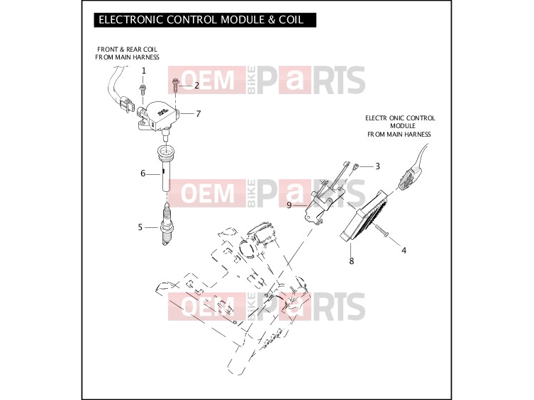Harley-Davidson 2004 VRSC VRSCB V-ROD  - VRSCB ELECTRONIC CONTROL MODULE & COIL