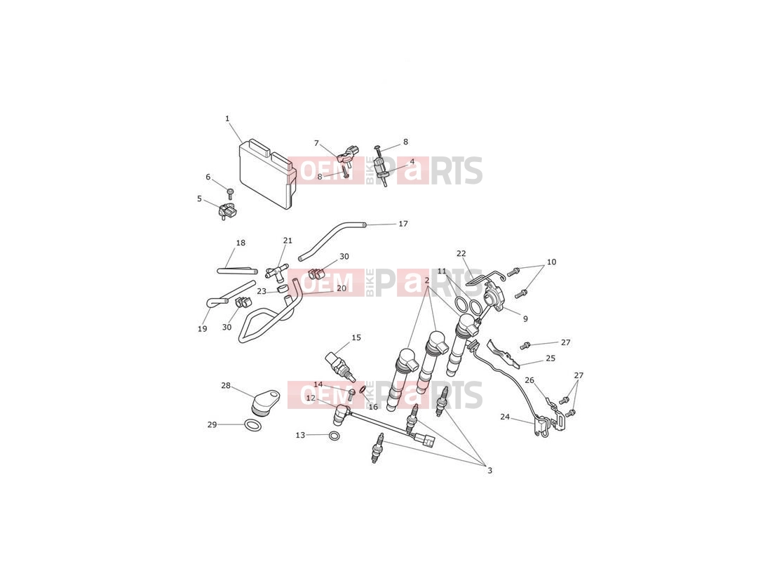 Engine Management System - Triumph Tiger 800 XRT 2020