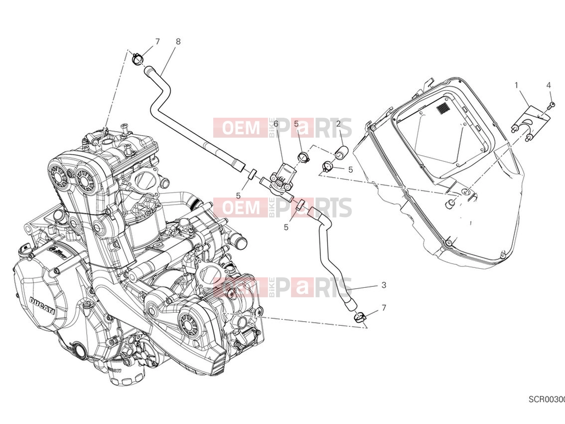 DUCATI 2024 Multistrada V2 Secondary air system