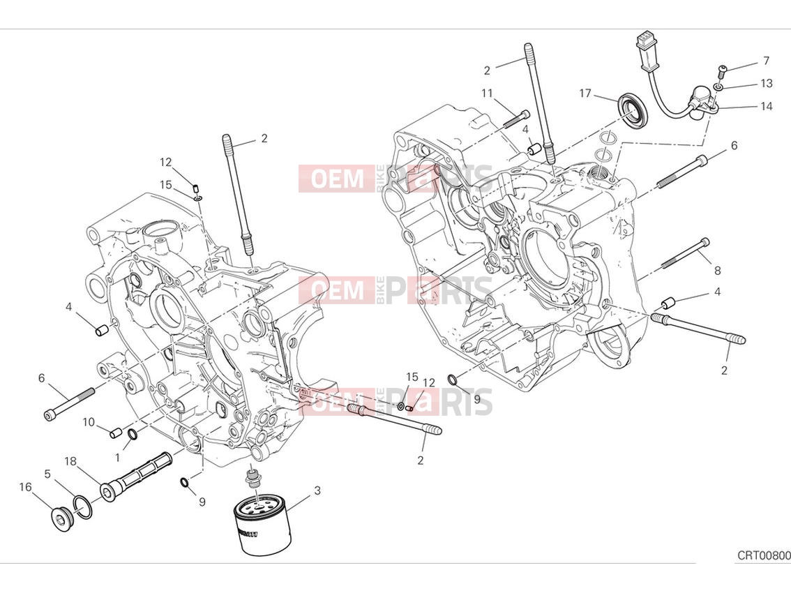 DUCATI 2024 Scrambler Nightshift Crankcase (2)